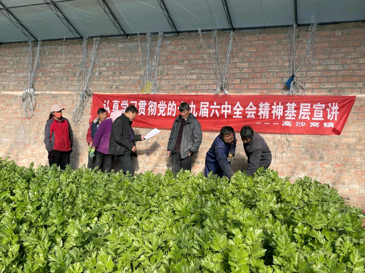 微信图片_20211207163229.png 微信图片_20211207163229.png